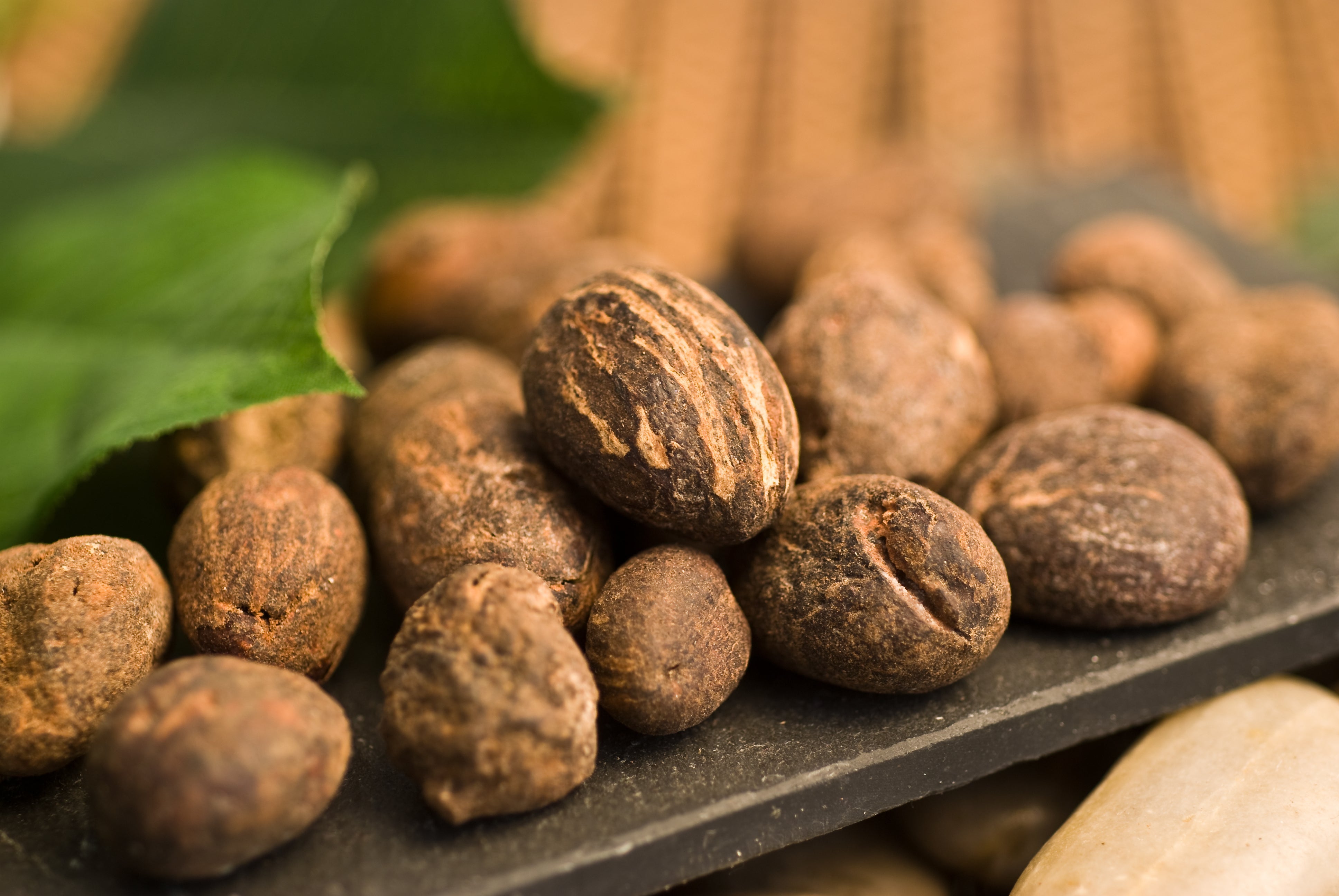 Sheabutter vs. Sheaöl – zwei Naturschätze, ein Ursprung