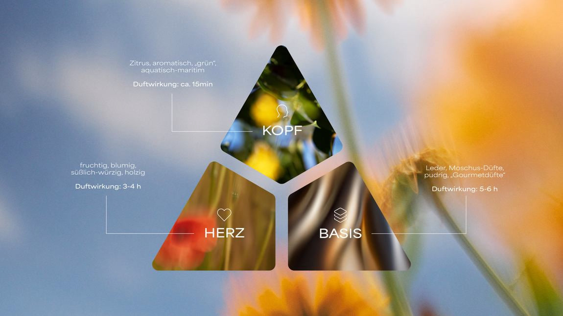 Grafica di una piramide olfattiva con nota di testa, cuore e base su sfondo floreale