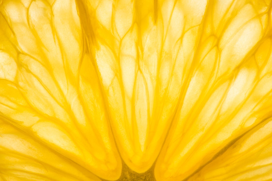 Sfondo fiore giallo