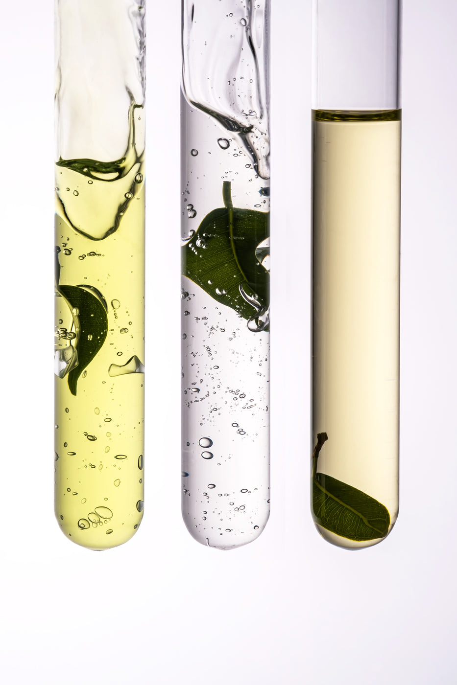 Tre provette con olio, acqua e foglie, bolle d'aria nel liquido