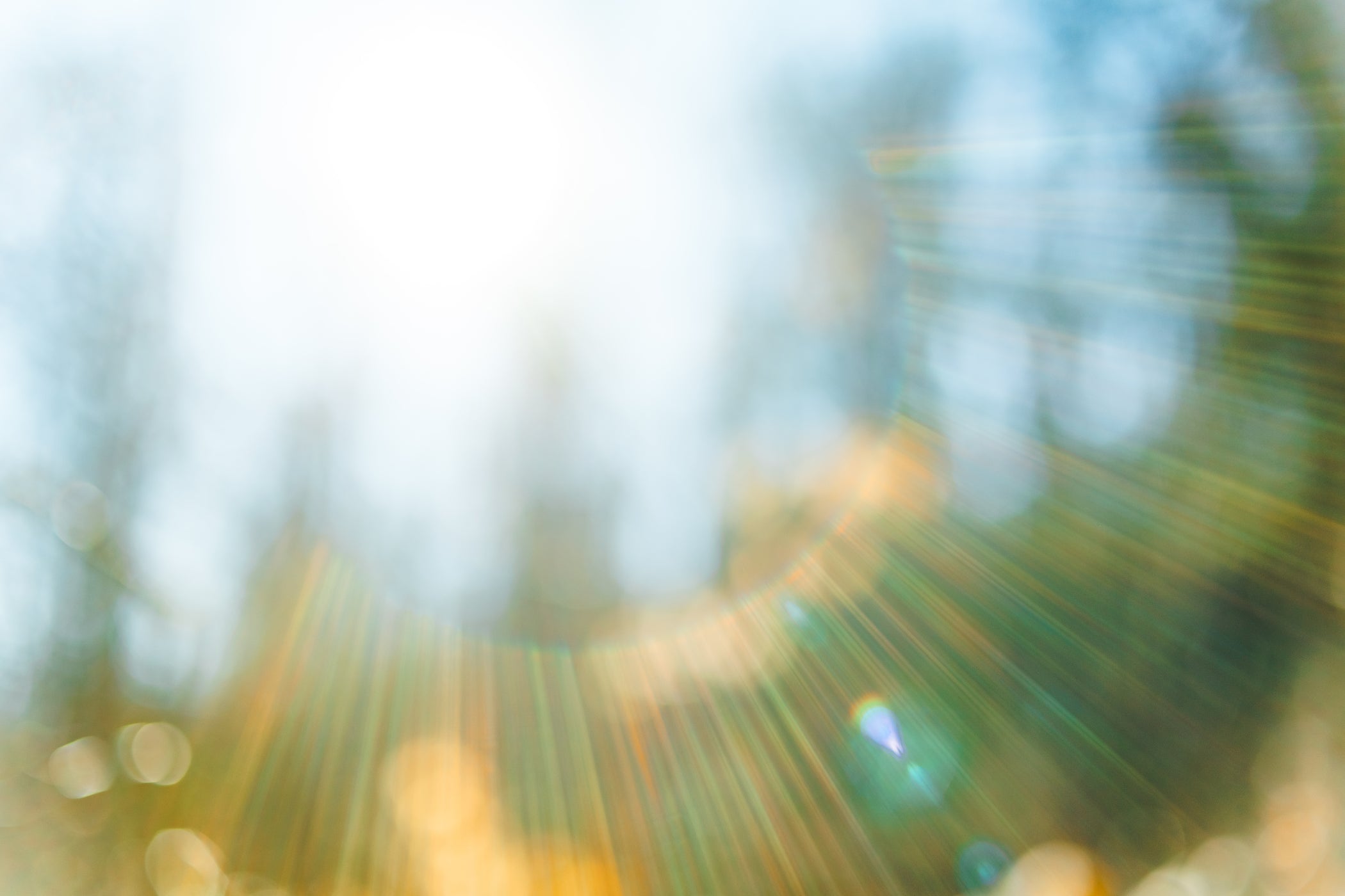 Luce solare astratta con lensflare, sfondo boschivo sfocato