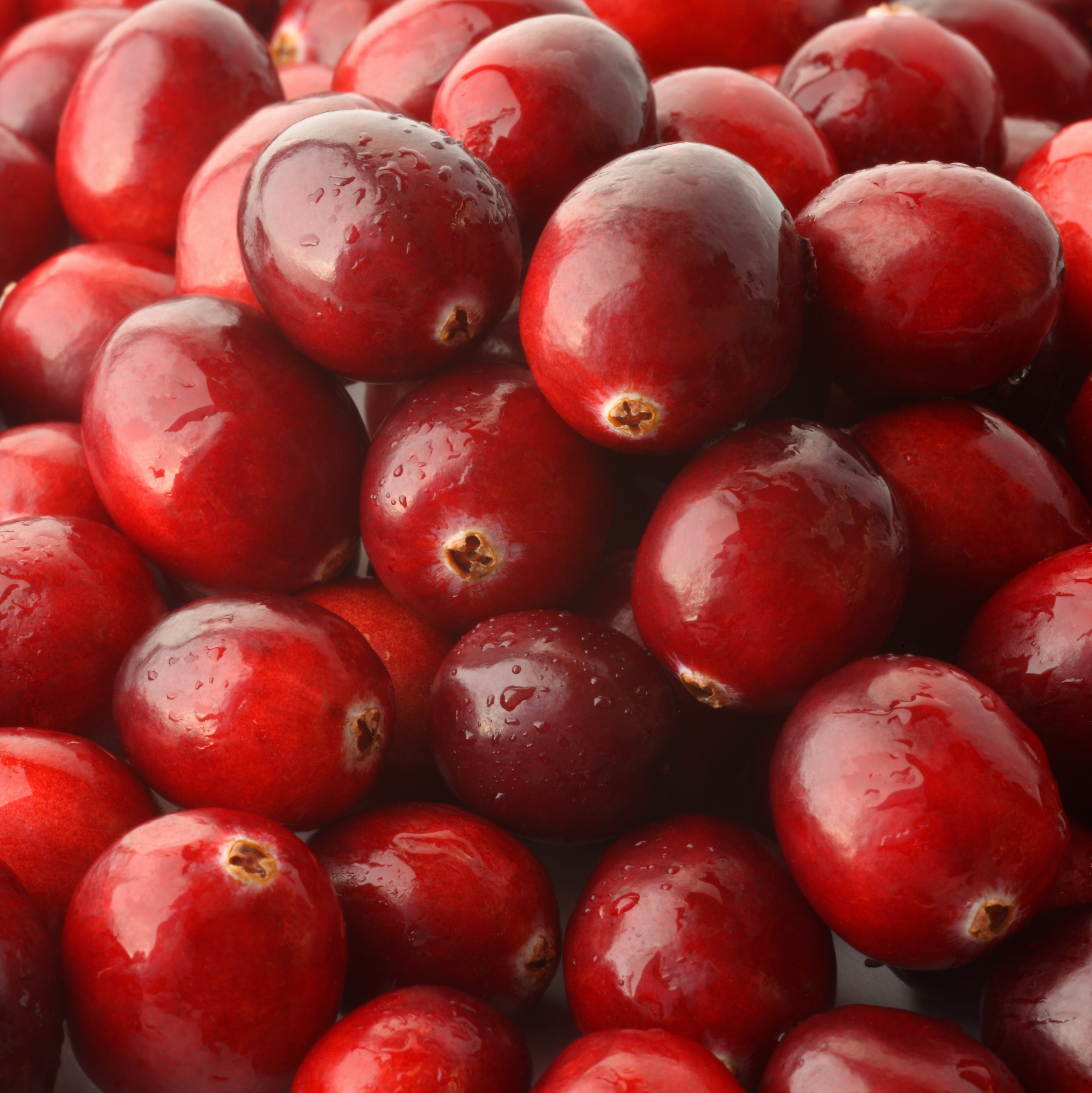 frische Cranberrys nass