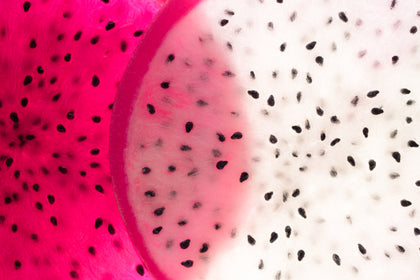 Frutto del drago biologico