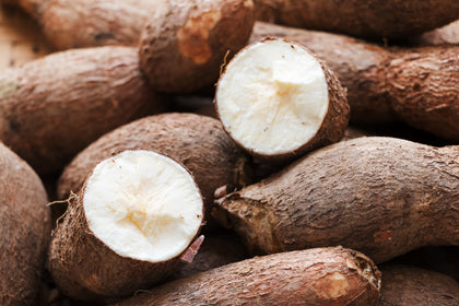 Amido di tapioca biologico