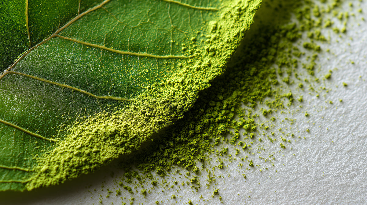 Ausschnitt eines Matcha Blattes mit Matcha Pulver an den Seiten