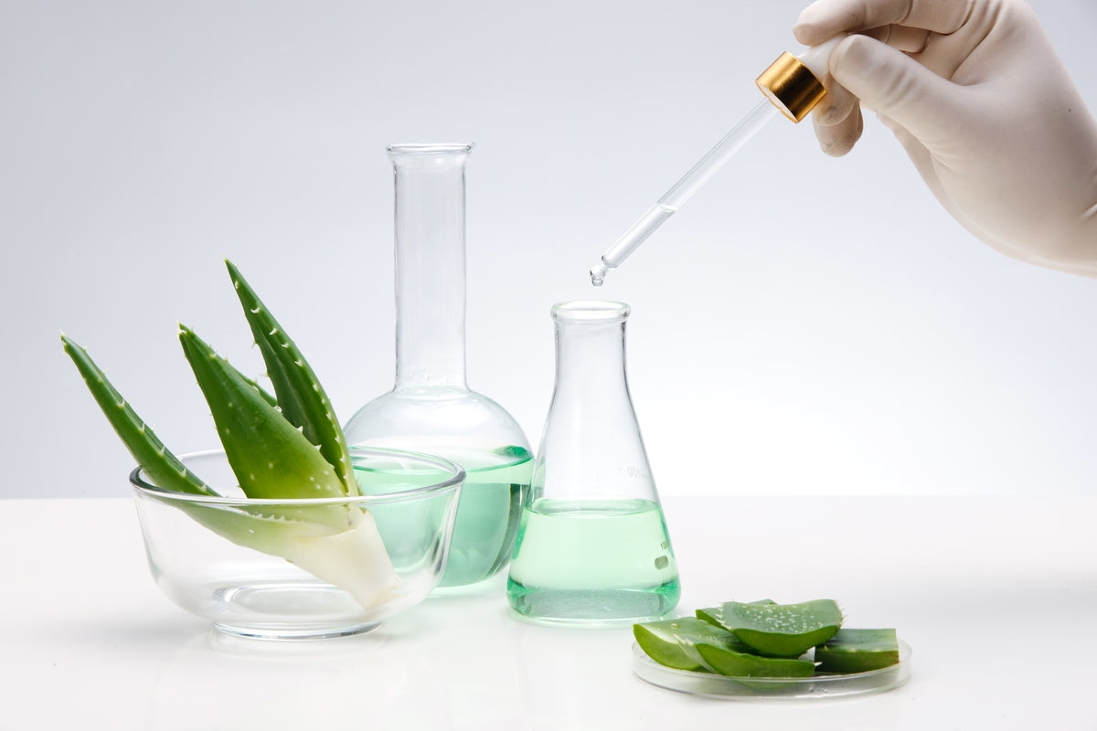 Ciotole con Aloe Vera accanto a becher con liquido sopra i quali viene tenuta una pipetta con liquido