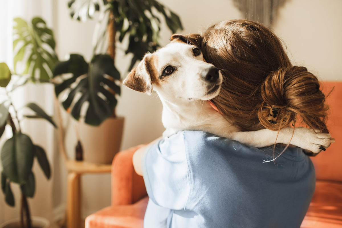 Donna con chignon tiene in braccio un piccolo cane bianco-marrone