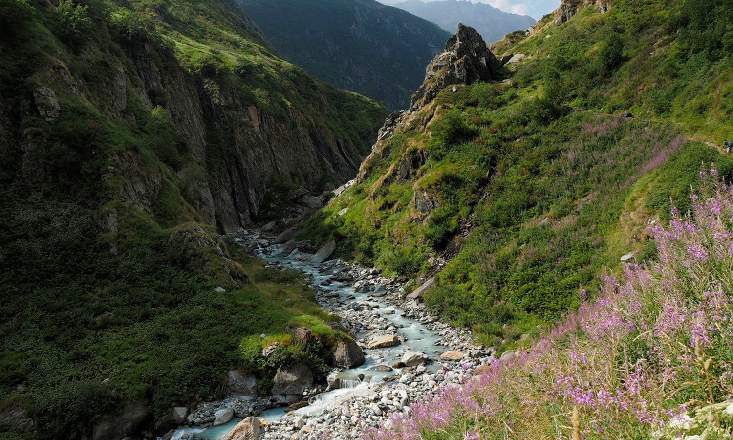Paesaggio montano verde ricoperto di erba e fiori con gola attraversata da un fiume