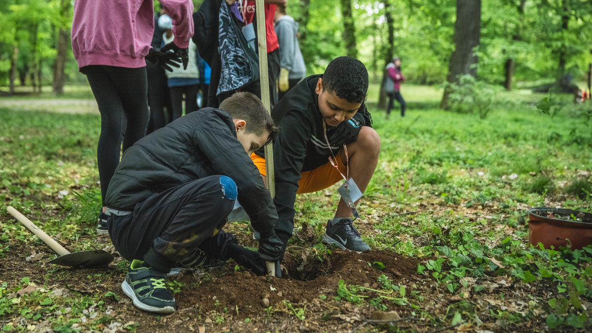 Due ragazzi scavano una buca per una piantina nel bosco