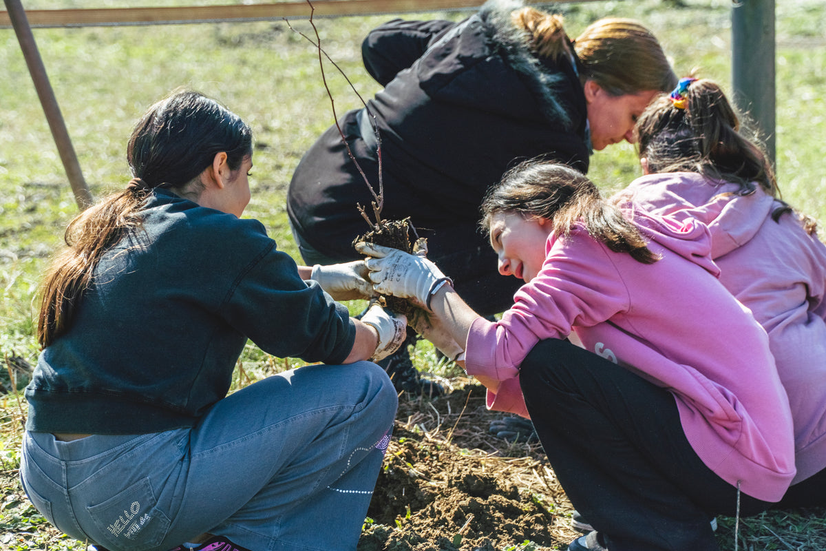 Due ragazze tengono una piantina tra le mani - con guanti all'aperto nel verde