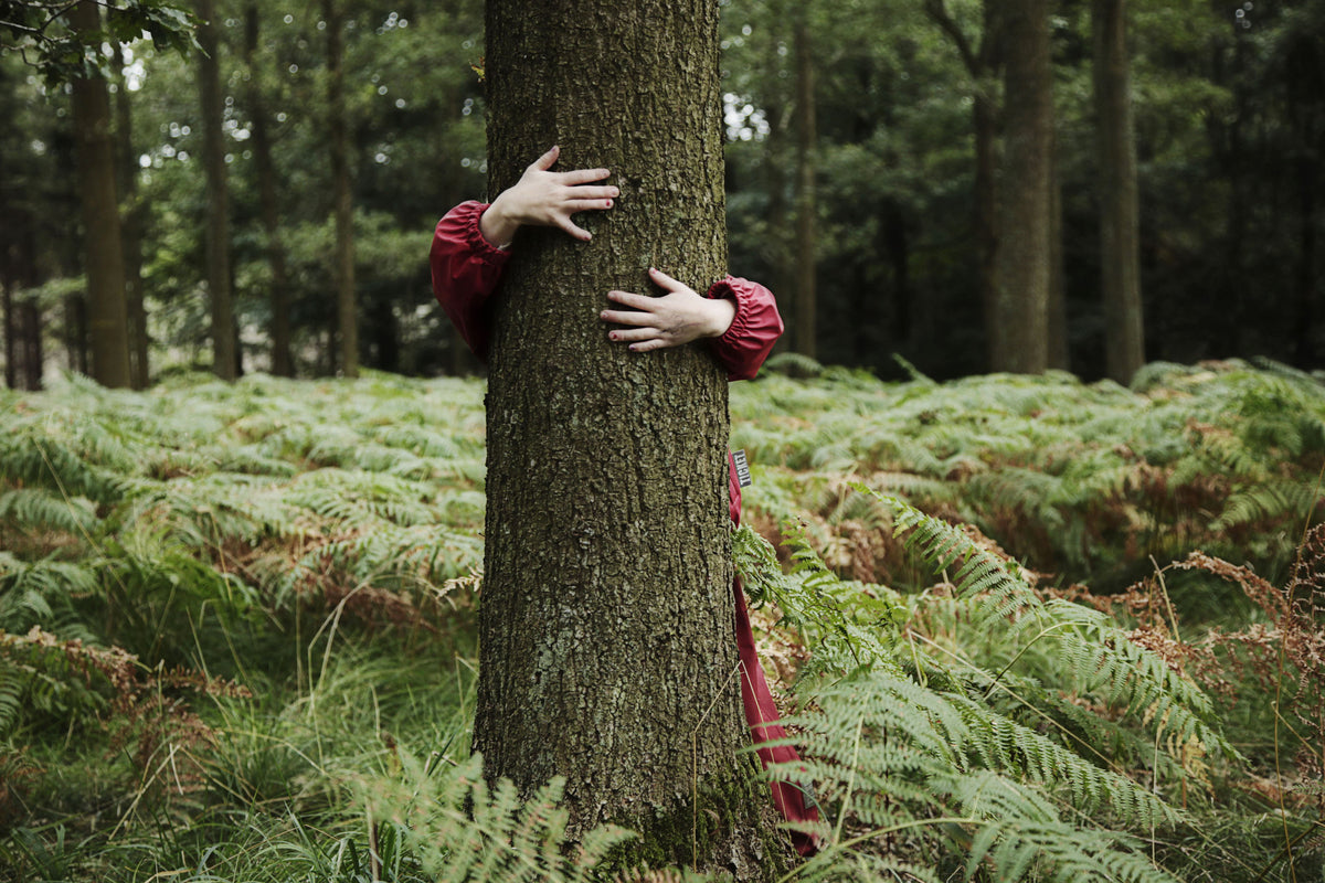 Bambino abbraccia un albero nel bosco