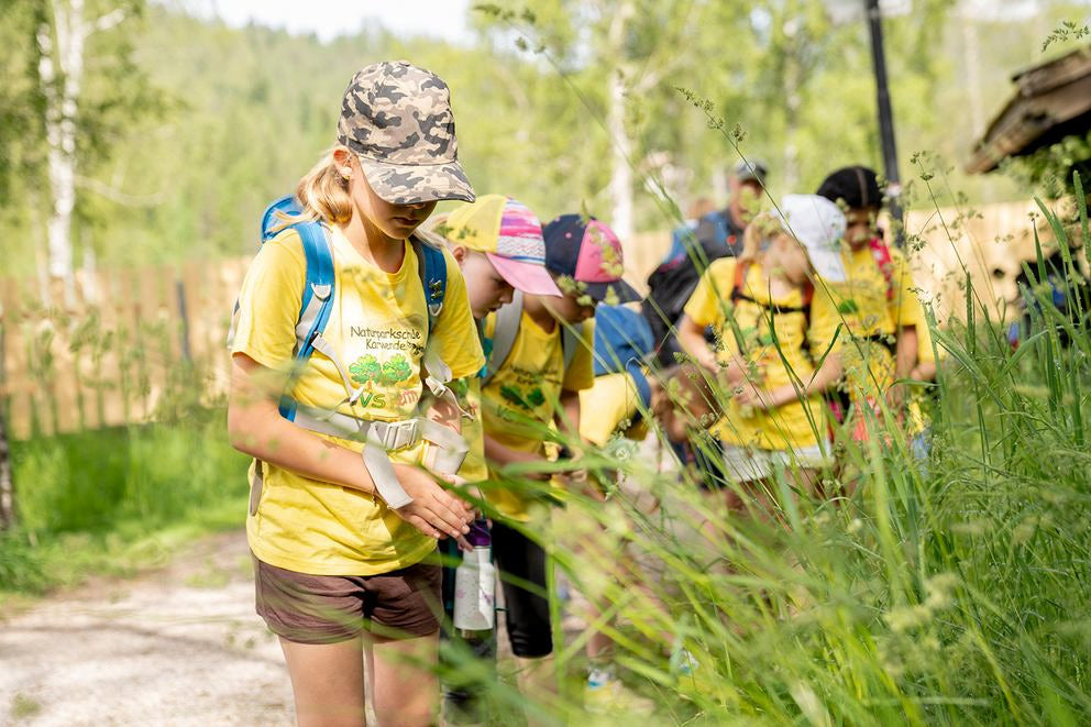 Gruppo di studenti in magliette gialle durante escursione nella natura, esamina piante lungo il sentiero