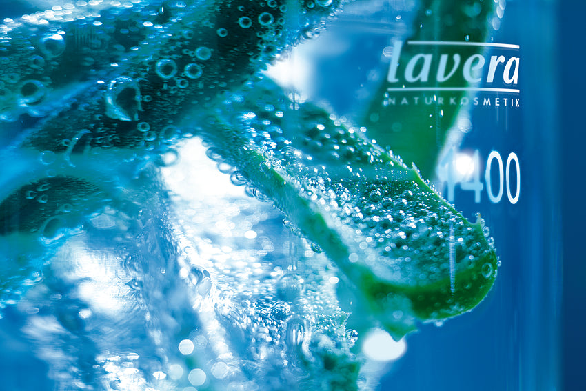 Bicchiere con liquido e Aloe Vera