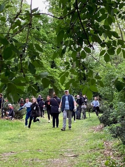Gruppo di volontari al progetto forestale, cammina su sentiero verde nel bosco