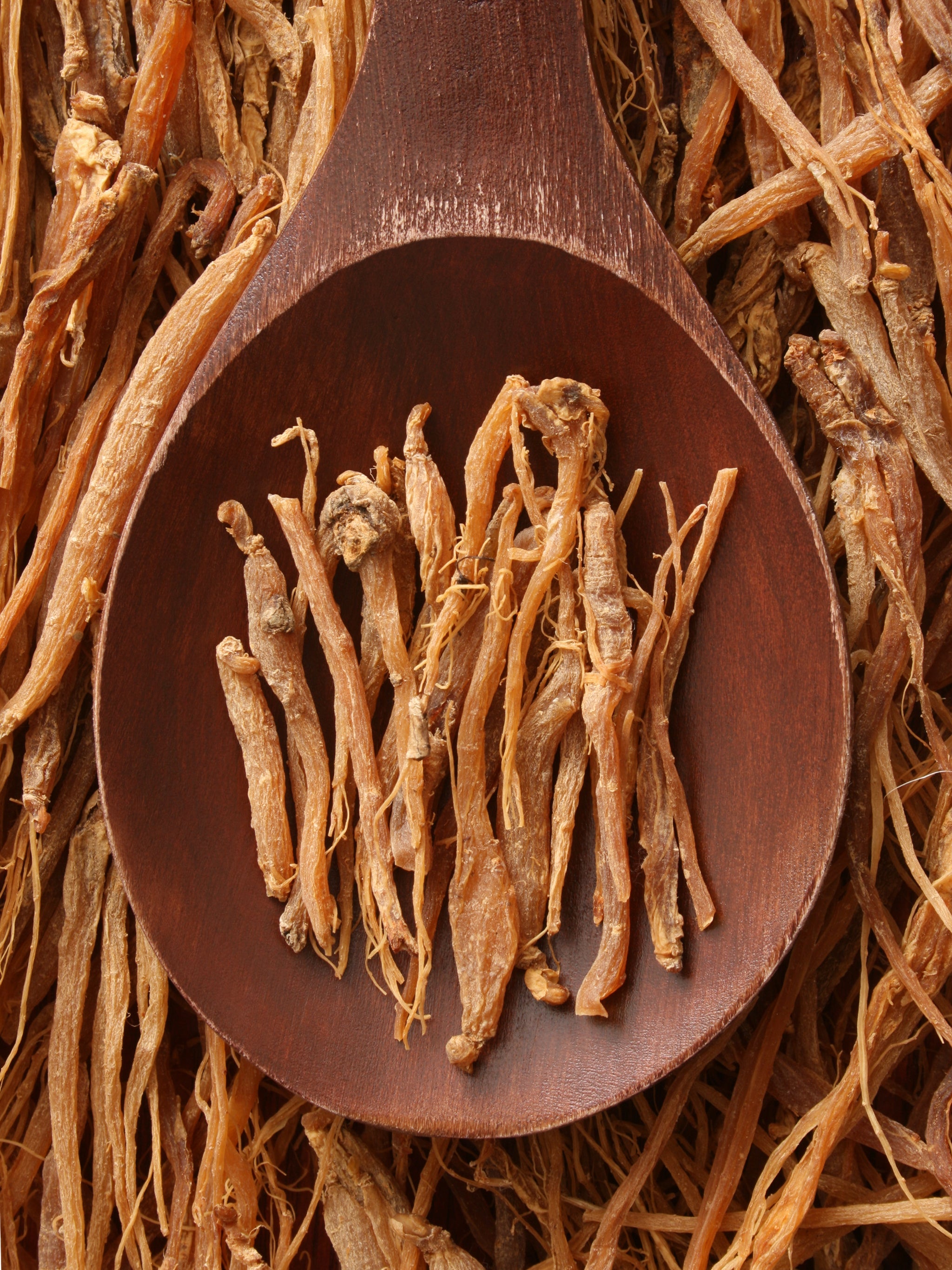 getrocknete Gingsengwürzel auf dem Holzlöffel
