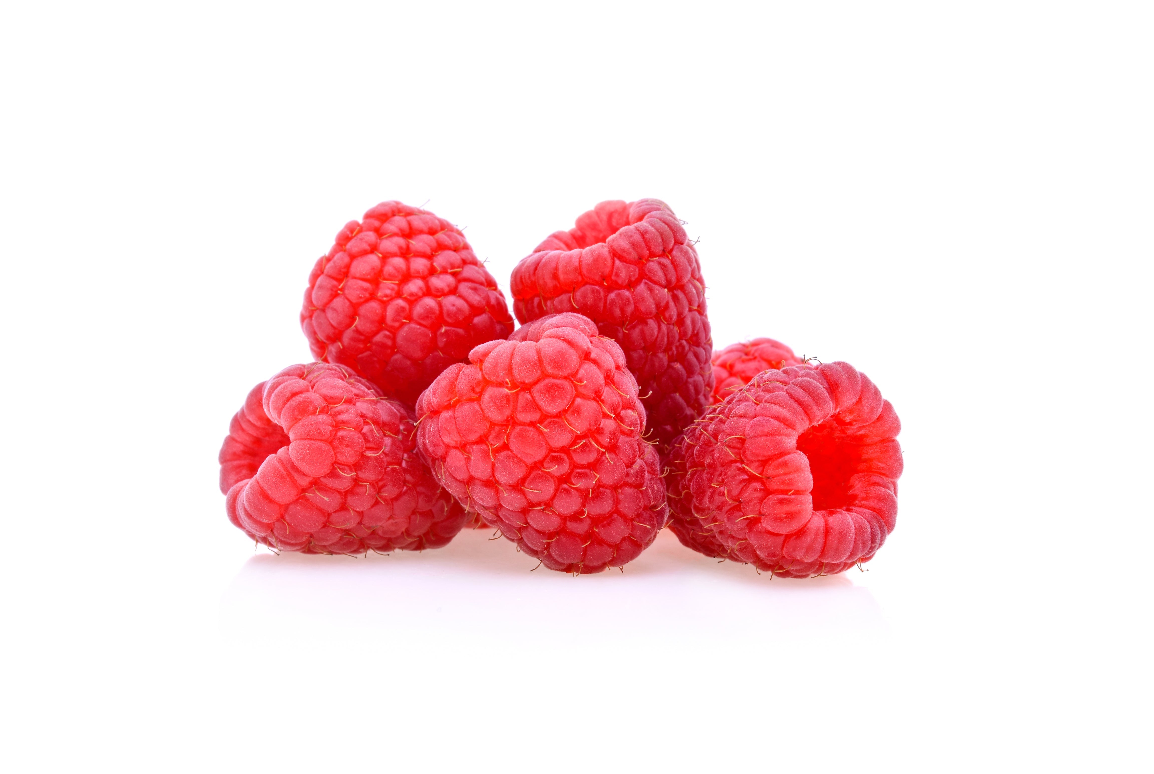 Frische Himbeeren, einzeln vor weißem Hintergrund