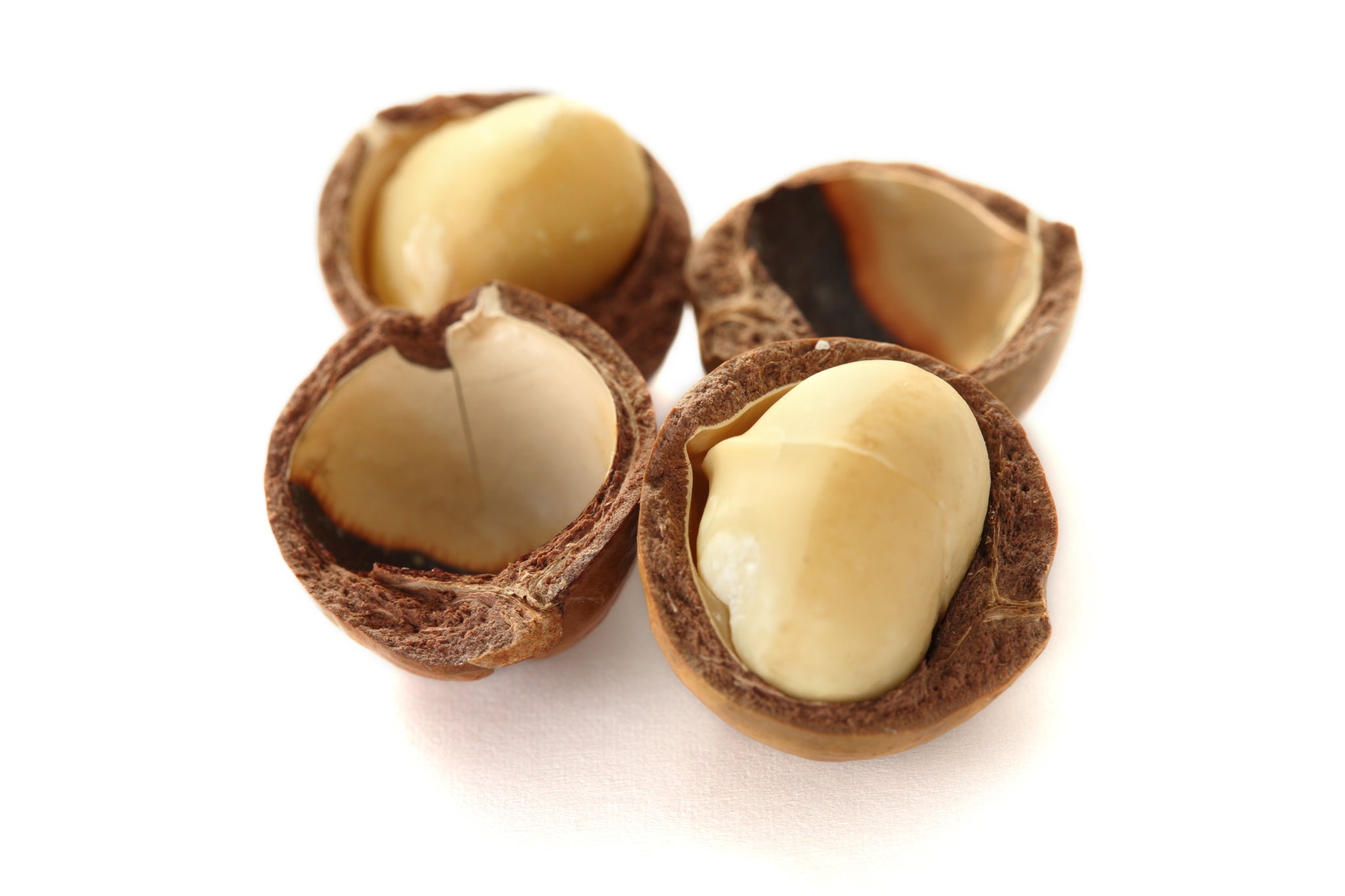 Nahaufnahme von geöffneten Macadamianüssen mit sichtbaren hellen Kernen in der braunen Schale