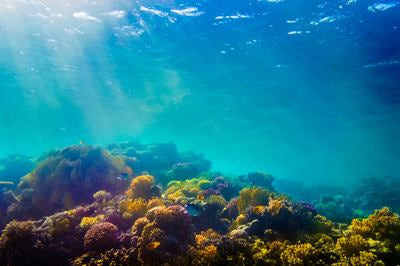 Buntes Korallenriff unter Wasser mit Sonnenstrahlen