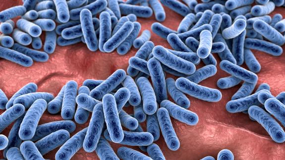 Rappresentazione 3D di batteri del microbioma cutaneo umano