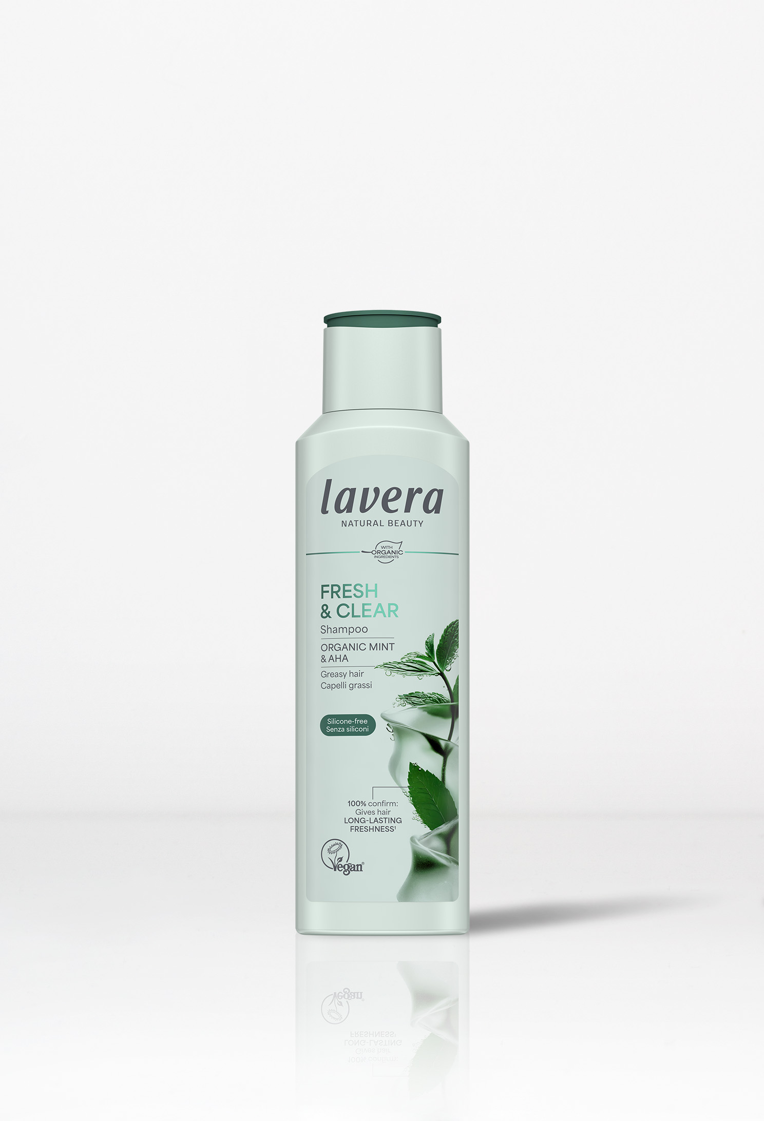 Shampoo Fresh & Clear